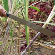 Faca Machete Facão com Lâmina de Aço Carbono MATÃO NTK Nautika